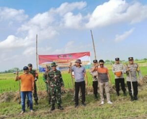 Tingkatkan Ketahanan Pangan dan Perintah Komando Atas, Kodim 0817/Gresik Wilayah Koramil 0817/09 Balongpanggang, Bersama Warga Tanam Jagung Serentak