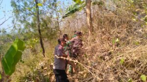 Polisi Bersama TNI dan Relawan Berhasil Padamkan Kebakaran di Gunung Liliran Ngawi.