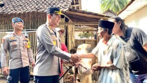 Polisi Berhasil Ungkap Komplotan Pencuri Sapi di Lumajang,Dua Tersangka Diamankan.