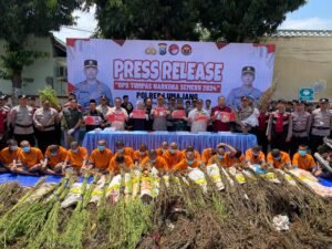Operasi Tumpas Narkoba Semeru 2024, Polres Lumajang Berhasil Ungkap 16 Kasus dan Bongkar Ladang Ganja di TNBTS.