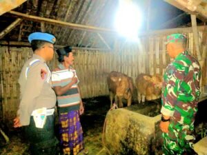 Sinergitas Polisi Bersama TNI di Lumajang Rutin Patroli Malam Cegah Pencurian Hewan Ternak.
