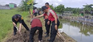 Bhabinkamtibmas Polsek Krian dan Warga Ponokawan Tanam Pohon Pisang Dukung Ketahanan Pangan Nasional