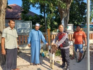 Polsek Krian Serahkan Satu Ekor Kambing Kurban kepada MUI Krian