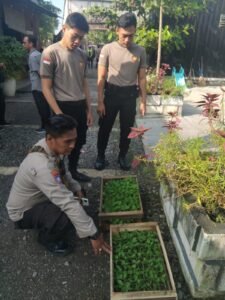 Polsek Krembung Distribusikan Bibit Cabe dan Bibit Terong, Dukung Ketahanan Pangan