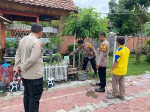 Sinergi Polsek Krembung Dan Pemdes Dukung Ketahanan Pangan Persembahkan Tanaman Holtikultura