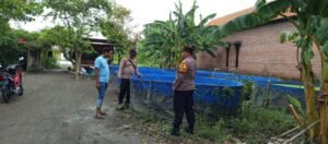Kanit Binmas Polsek Krembung Dukung Ketahanan Pangan Persembahkan Peternak Ikan Lele