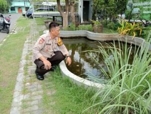 Polsek Sidoarjo Kota Dukung Ketahanan Pangan Lewat Peternak Ikan Lele