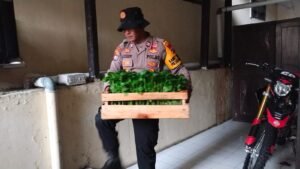 Dukung Ketahanan Pangan Kanit Binmas Polsek Krembung Salurkan Bibit Cabe ke Petani Poktan 