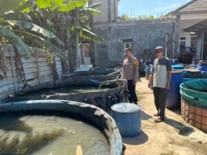 Polsek Krembung Dukung Ketahanan Pangan Lewat Peternak Ikan Lele
