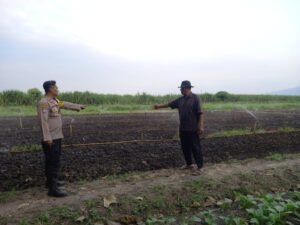 Dukung Ketahanan Pangan,Polsek Krembung Ajak Petani Cantumkan Teknik Grimbel