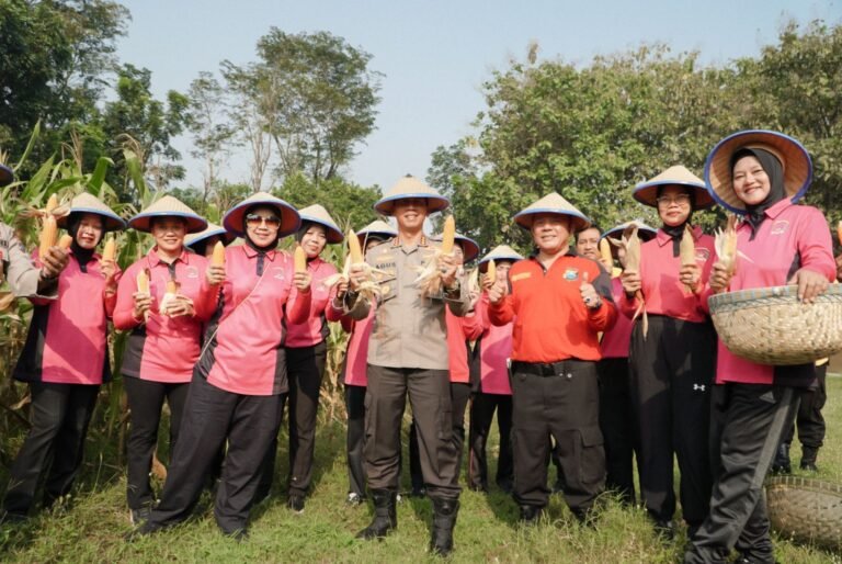 SPN Polda Jatim Gelar Panen Raya Jagung, Wujudkan Ketahanan Pangan