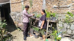 Seledri Sehat dari Pekarangan: Polsek Sawahan Dukung Ketahanan Pangan Warga