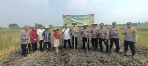 Polsek Tulangan Tanam Jagung Serentak Kuartal III di Desa Pangkemiri