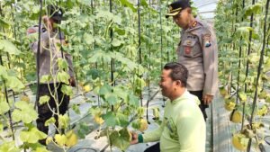 Budidaya Melon ala Green House Jadi Inspirasi, Kapolsek Warujayeng Beri Dukungan