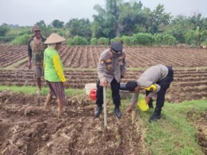 Bhabinkamtibmas Sukomoro Dukung Ketahanan Pangan, Kawal Pemanfaatan Lahan Pekarangan Warga