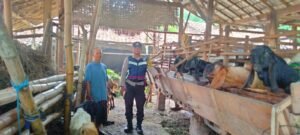 Manfaatkan Lahan Pekarangan, Warga Jatirejo Dibina Bhabinkamtibmas Dukung Ketahanan Pangan
