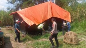 Polisi Bongkar Dua Lokasi Arena Judi Sabung Ayam di Malang