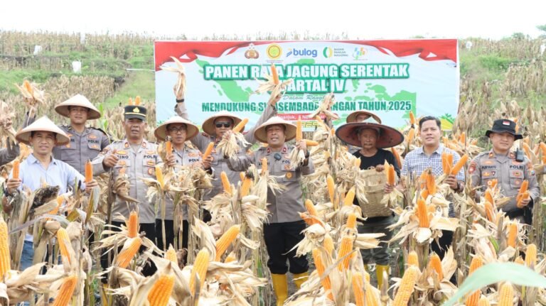 Polres Nganjuk Dukung Swasembada Pangan Lewat Panen Raya Jagung Serentak di Rejoso