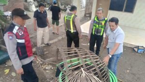 Polsek Balongbendo Datangi Lokasi Sabung Ayam di Desa Kemangsen