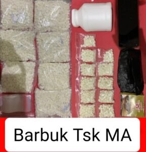 Polres Nganjuk Amankan Pengedar, 7.650 Pil Dobel L Disita di Baron