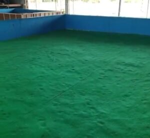 Diduga Kebal Hukum, Arena Judi Sabung Ayam di Desa Pepe Kembali Direhab Mirip Las Vegas