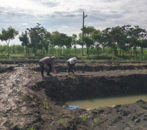 Dukung Ketahanan Pangan, Polsek Krian Pantau Lahan Jagung Ponpes Al Amanah Junwangi
