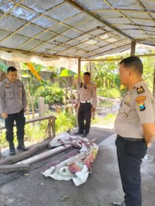 Digerebek Polisi! Dua Arena Sabung Ayam di Gedangan Diratakan Petugas
