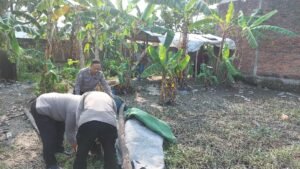 Arena Sabung Ayam di Keboan Anom Dibongkar dan Dirobohkan Polisi, Kapolsek Gedangan: Tidak Ada Ruang bagi Judi