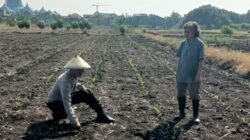 Polsek Taman Pantau Perkembangan Tanaman Jagung