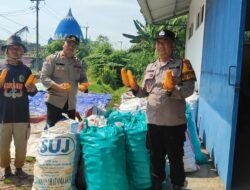 Polsek Tanggulangin Dampingi Gapoktan Randegan Jemur Hasil Panen Jagung untuk Penuhi Standar Kualitas