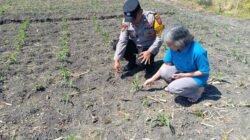 Polsek Taman Patroli Ketahanan Pangan Beri Semangat Petani Tingkatkan Panen