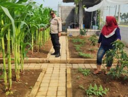 Polresta Sidoarjo Gelorakan Swasembada Pangan Dampingi Warga Tani Kelola Jagung