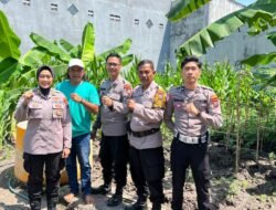 Optimalkan Program Ketahanan Pangan, Polsek Waru Optimis Tanam Jagung Berhasil