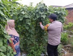Polsek Nongkojajar Dampingi Warga Kembangkan Buncis untuk Perkuat Ketahanan Pangan di Tutur