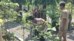 Bhabinkamtibmas Polsek Bangil Dorong Ketahanan Pangan Lewat P2B di Kalirejo