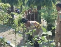 Bhabinkamtibmas Polsek Bangil Dorong Ketahanan Pangan Lewat P2B di Kalirejo