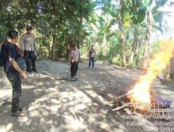 Gerak Cepat Tindak Laporan Warga, Polsek Tulangan Musnahkan Arena Sabung Ayam