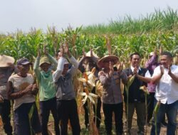Polisi, Perangkat Desa dan Petani Kompak Sukseskan Ketahanan Pangan di Balongbendo