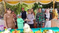 Panen Jagung Kuartal III di Kecamatan Balongbendo