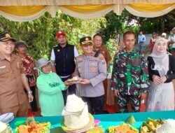 Panen Jagung Kuartal III di Kecamatan Balongbendo