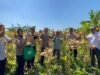 Panen Raya Jagung di Punggul, Polsek Gedangan Perkuat Swasembada Pangan