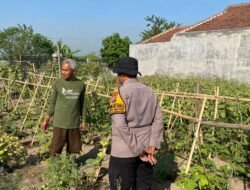 Polsek Balongbendo Masif Dampingi Warga Kelola P2L, Dukung Ketahanan Pangan