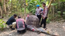 Tindaklanjuti Dumas Dugaan Judi Sabung Ayam, Polsek Krian Datangi Lokasi dan Tertibkan Arena