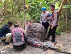Tindaklanjuti Dumas Dugaan Judi Sabung Ayam, Polsek Krian Datangi Lokasi dan Tertibkan Arena