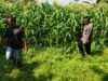 Polsek Tanggulangin Dukung Ketahanan Pangan, Upayakan Keluhan Petani di Desa Randegan